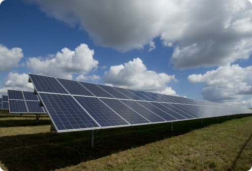 Sürdürülebilirlik ve Türk Ekonomisine Katkı